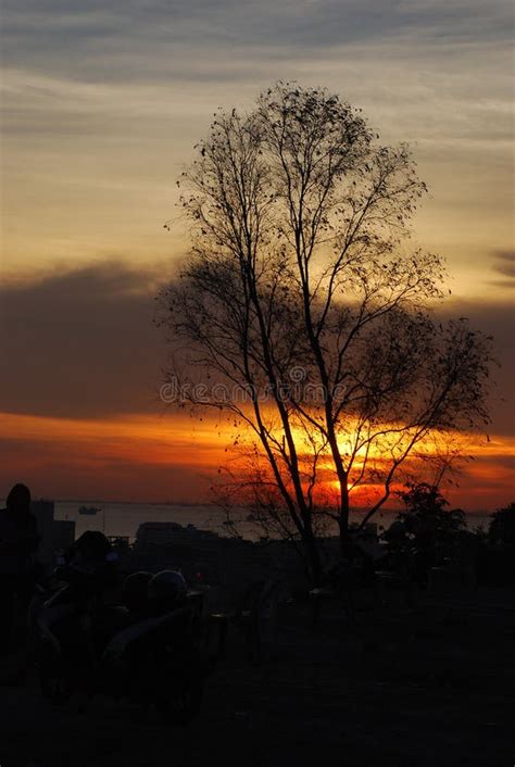 Beautiful Silhouette Tree Village when Sunset Stock Photo - Image of lagoon, season: 112538598