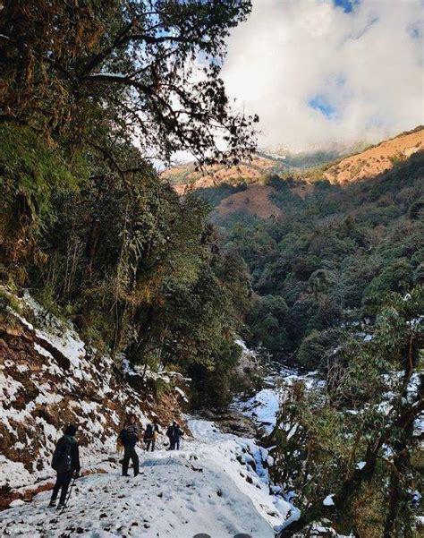 Porter For Ghorepani Poon Hill Ghandruk Trek Klook