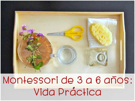 Curso online Montessori de 3 a 6 años Vida Práctica Cursos