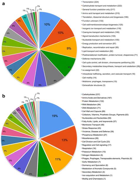 Functional Distribution Of The PS128 Coding Genes Based On A COG