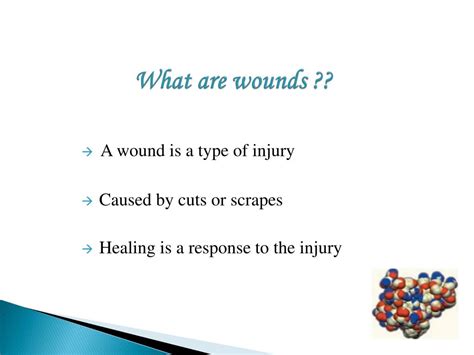 Ppt Mathematical Modeling Of Wound Healing Powerpoint Presentation