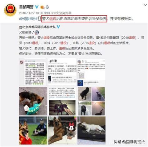 老兵退役，愛犬死咬行李：我不想你走 每日頭條