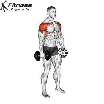 Dumbbell Lateral Raise » Workout Routine Created By Ivan Radofsk