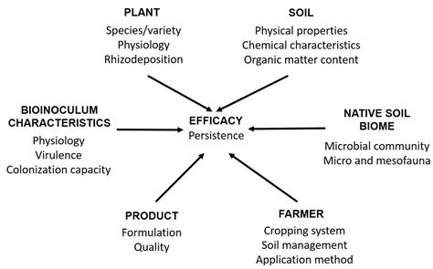 Microorganisms Free Full Text Microbial Based Products To Control