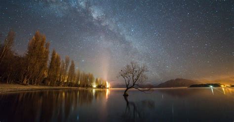 That Wānaka Tree | Explore | Wanaka Official Website