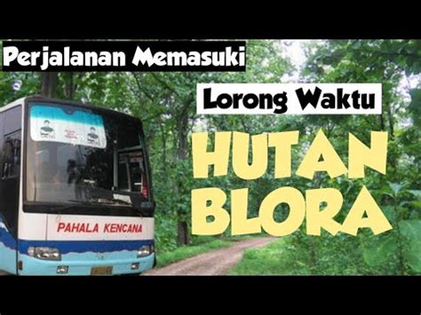 Perjalanan Masuk Ke Dunia Lain Ikut Bus Pahala Kencana Hilang Hutan