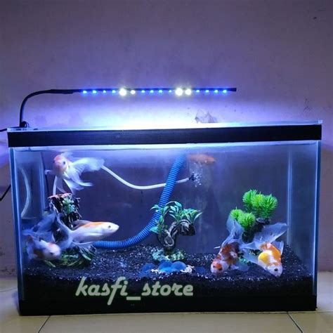 Lampu Aquarium Led Smd Cm Biru Putih Volt Lampu Aquascape Lampu