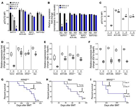 Oncogenic Mutations Correct Aging Associated Functional Defects In B