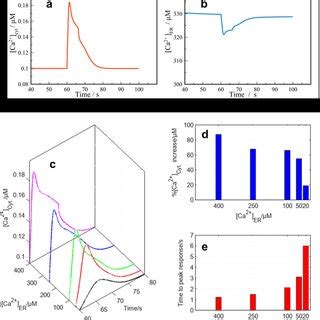 A Cytosolic Ca Concentration Variations With The Time When Ca