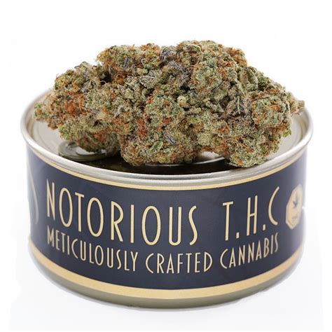 Notorious THC Craft Peanut Butter Breath 7 Grams Ganja West