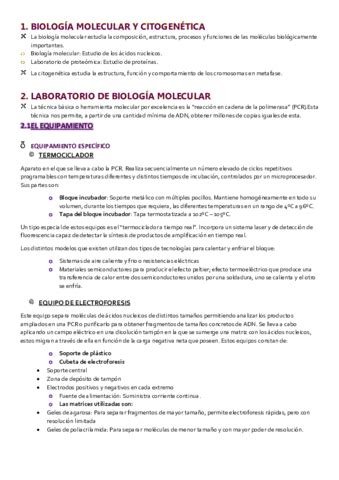 Resumen Tema Biologia Molecular Y Citogenetica Pdf