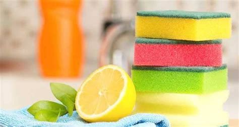 Astuces Naturelles Et Conomiques Au Citron Toutes Recettes