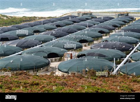 Land Based Fish Farming Hi Res Stock Photography And Images Alamy