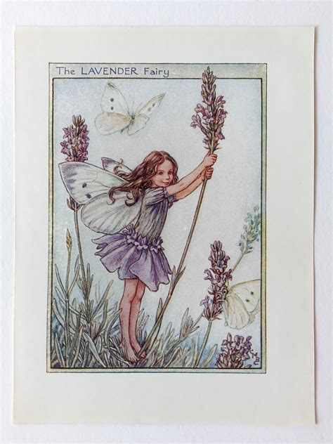 Lavender Flower Fairy Print Flower Fairy Prints