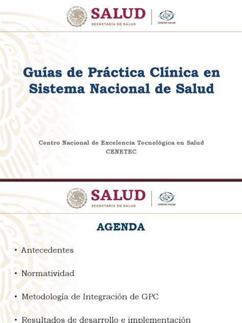 1 Guias De Practica Clinica En Sistema Nacional De Salud Pdf México Salud Pública