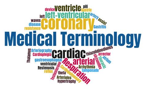 Introduction To Medical Terminology Word Parts Chapter B Quizalize