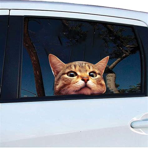 Cat Car Window Decal Spilsbury