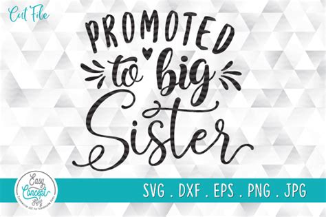 Promoted To Big Sister New Big Sister Graphic By Easyconceptsvg · Creative Fabrica