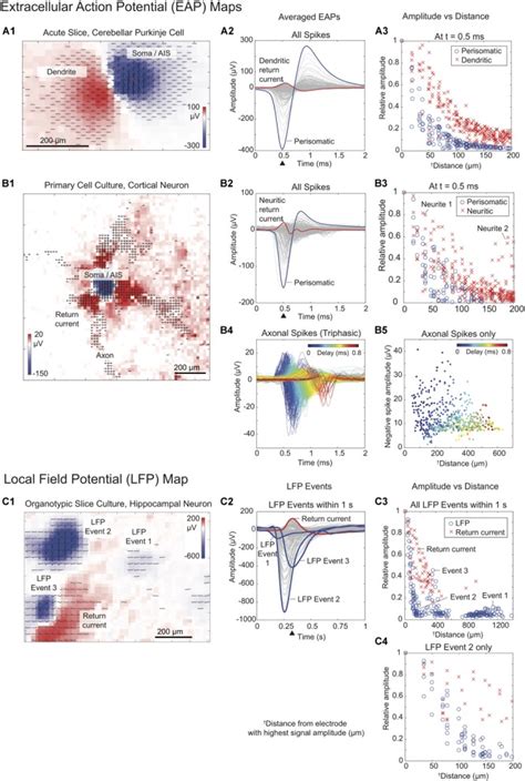 Optimal Electrode Size For Multi Scale Extracellular Potential Recording From Neuronal