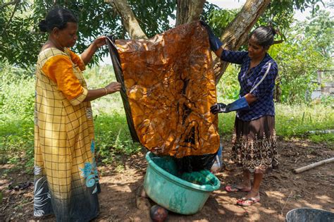 For Sri Lanka’s Women Batik Makers, ‘a Tearful Story’ of Economics