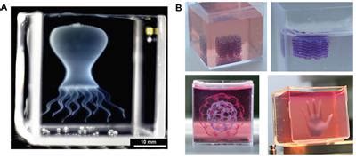 Frontiers 3D Bioprinting Strategies Challenges And Opportunities To