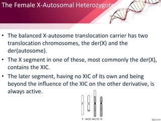 Sex Chromosome Translocation PPTX