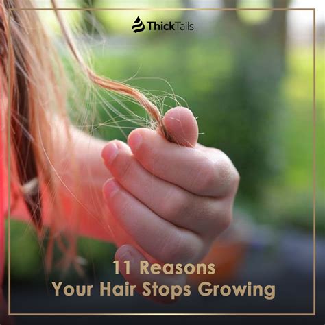 Hair Stops Growing 11 Possible Reasons And Solut