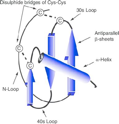 Schematic representation of the three-dimensional structure of ...