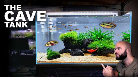 Aquascape Tutorial Cave Aquarium African Cichlid Kribensis How To