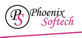 Phoenix Softech Web Designing Web Development