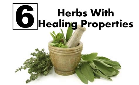 6 Amazing Herbs With Healing Properties Find Home Remedy And Supplements