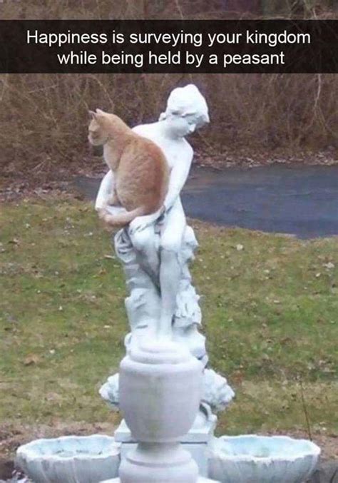 Cat Statue Meme - 57+ Koleksi Gambar