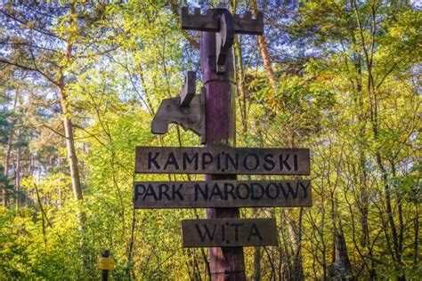 Kampinoski Park Narodowy – atrakcje, zwiedzanie, mapa i informacje