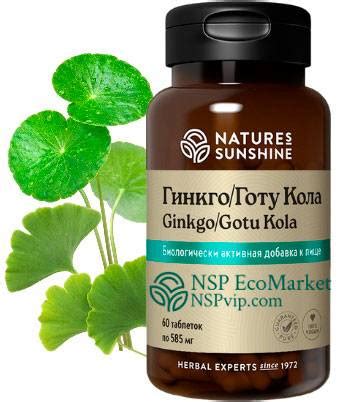 Гинкго Готу Кола НСП | Ginkgo Gotu Cola NSP - дистрибьютор EcoMarket