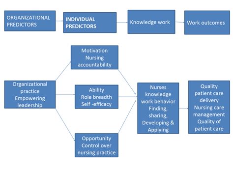 Solved The Nurse Leader As Knowledge Worker The Term Knowledge