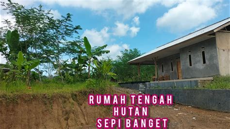 Ada Satu Rumah Terpencil Di Tengah Hutan Jauh Dari Tetangga Kampung