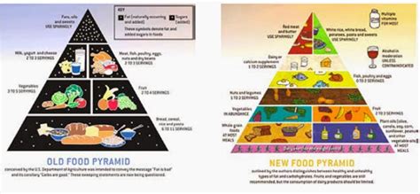 Sapereconsapore Confronto Tra La Vecchia E La Nuova Piramide Alimentare