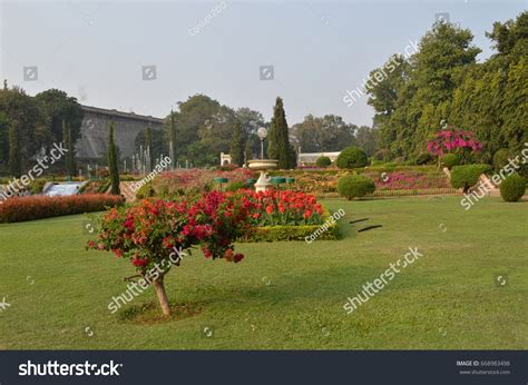 Flower Tree Brindavan Stock Photo (Edit Now) 668983498