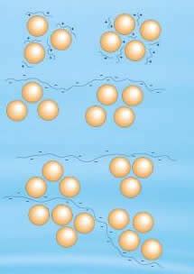 Difference between Coagulation and Flocculation | Coagulation vs ...