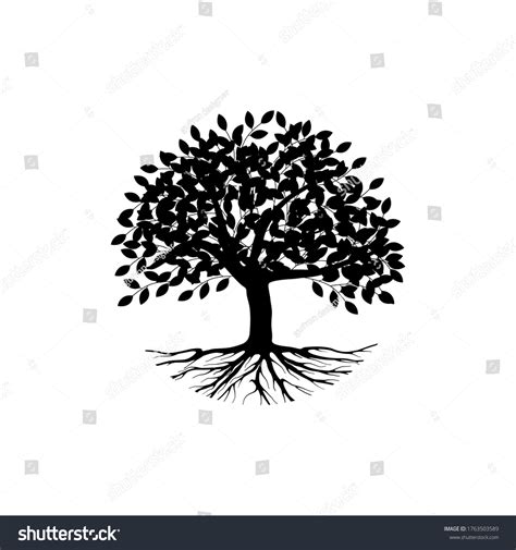 Mangrove Tree Vector Silhouette Black White Stock Vector (Royalty Free ...