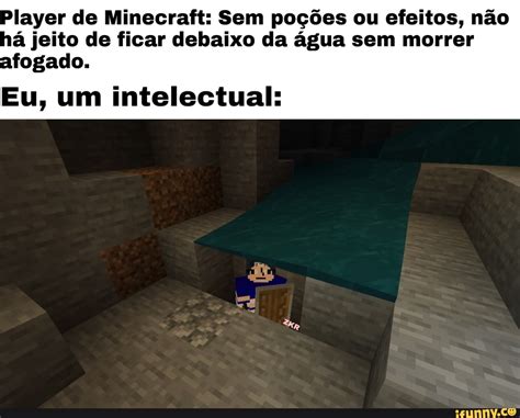 Player De Minecraft Sem Po Es Ou Efeitos N O H Jeito De Ficar