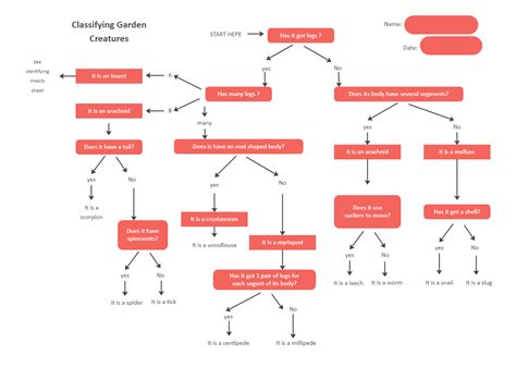 Classification Dichotomous Key EdrawMax Template