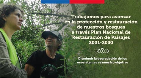 Ministerio Del Medio Ambiente On Twitter Díainternacionaldelosbosques🌲 🤝porque Junts