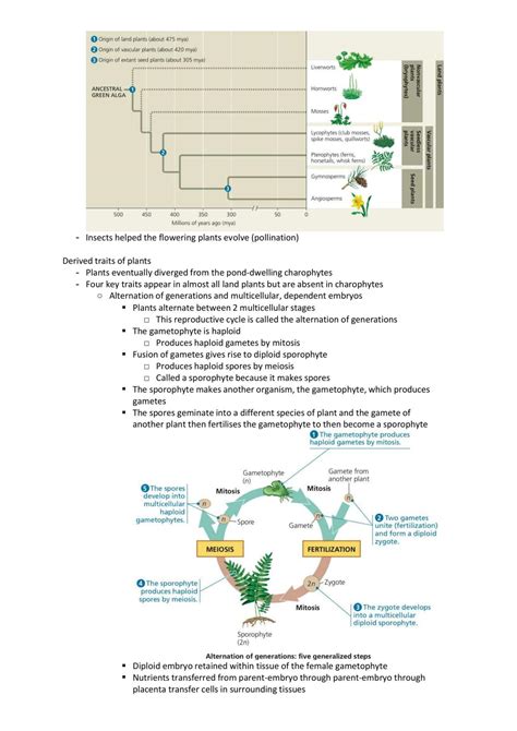 Biology: Form and Function Lecture Notes | SLE132 - Biology: Form and ...