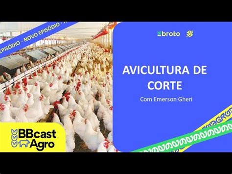 21 12 2023 Cenário da avicultura de corte YouTube