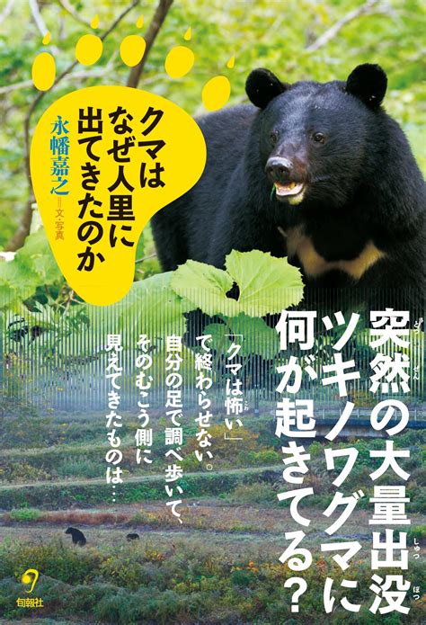 クマはなぜ人里に出てきたのか 永幡嘉之 本 通販 Amazon