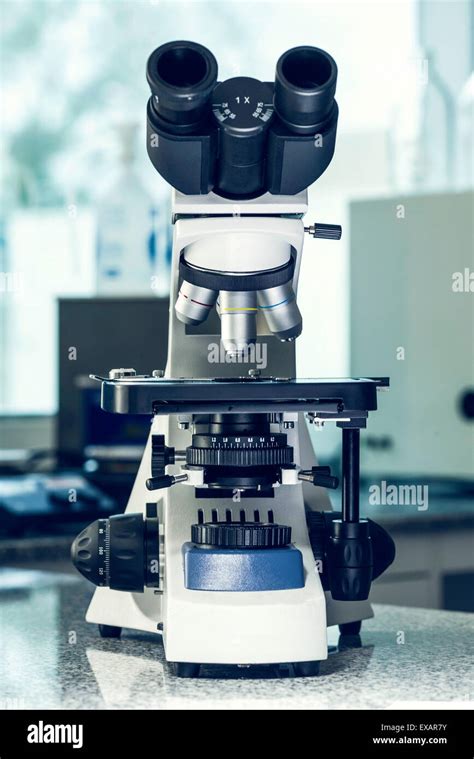 lifes complexities  res stock photography  images alamy