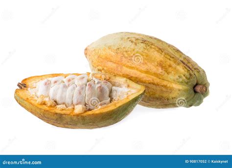 Cacao Fruit Raw Cacao Beans Cocoa Pod On White Background Stock