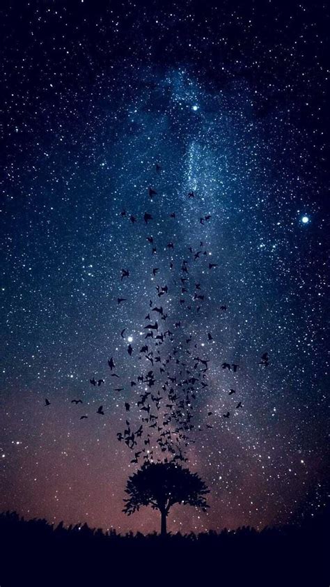 Night sky Galaxy Wallpaper Discover more 1080p, Background, Galaxy ...