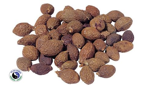 bang dai hai dong  vu gia duong